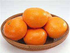橘柑子
