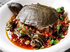 红烧龟肉