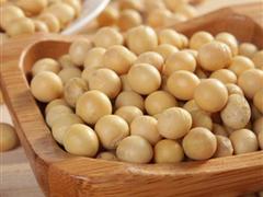 黄豆有益于代谢综合征
